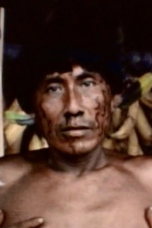 Kosinegue portrait