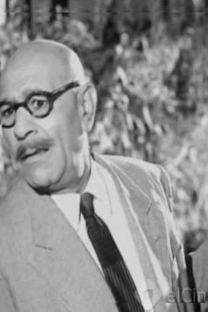 Ahmed Shukry portrait