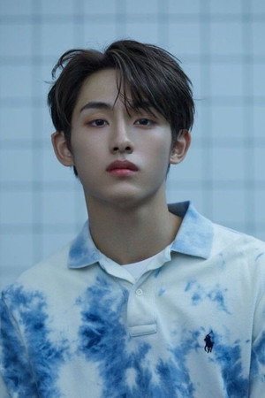 Winwin portrait