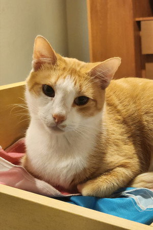 Barry portrait