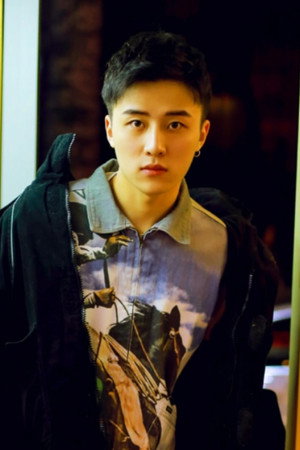 Liu Yilong portrait