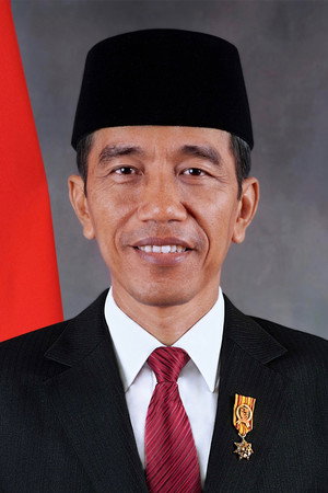Jokowi portrait