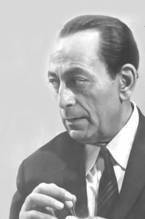 Mahmoud El Meligy portrait