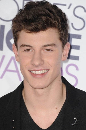 Shawn Mendes portrait