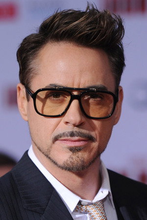 Robert Downey Jr. portrait