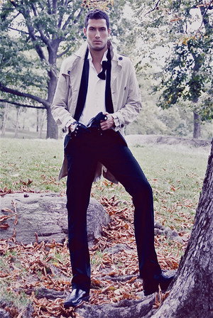 Wayne Stephens portrait