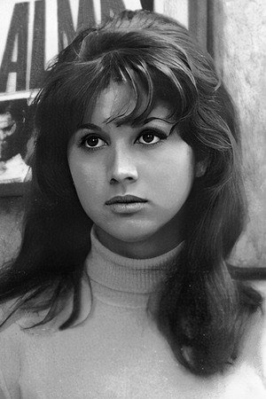 Vera Vianna portrait