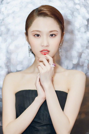 Zhang Huiwen portrait