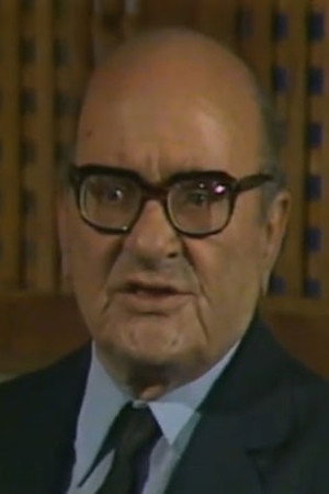 Sayed Mahmoud portrait