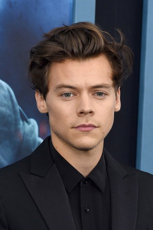 Harry Styles portrait