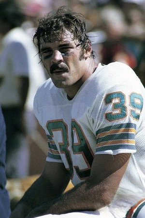 Larry Csonka portrait