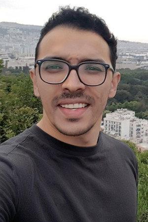 Hamza Mendil portrait