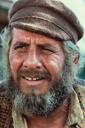 Chaim Topol portrait
