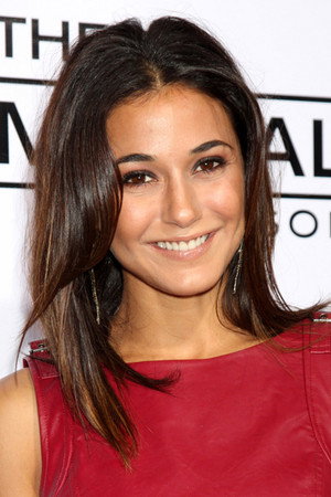 Emmanuelle Chriqui portrait