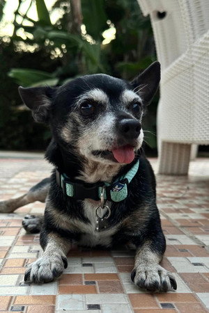 Cuki portrait