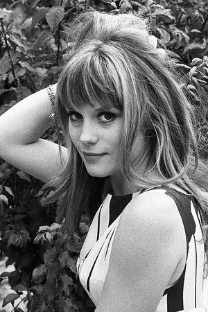 Françoise Dorléac portrait