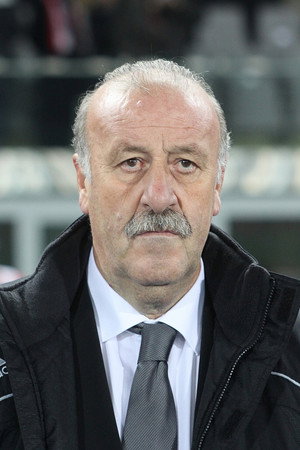 Vicente del Bosque portrait