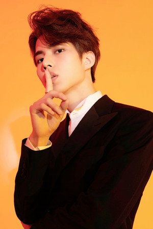 Lu Junjie portrait