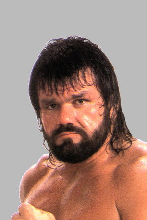 Steve Williams portrait