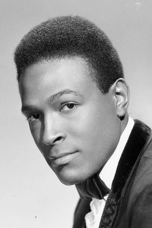 Marvin Gaye portrait