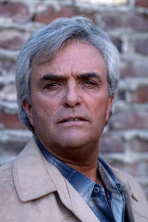 Ed Nelson portrait