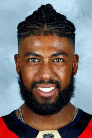 Anthony Duclair portrait