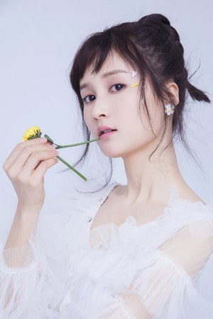 Li Nuo portrait