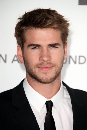 Liam Hemsworth portrait