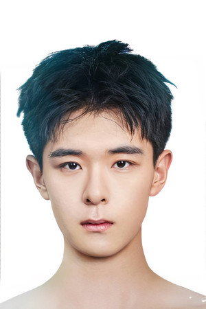 Li Gengyou portrait