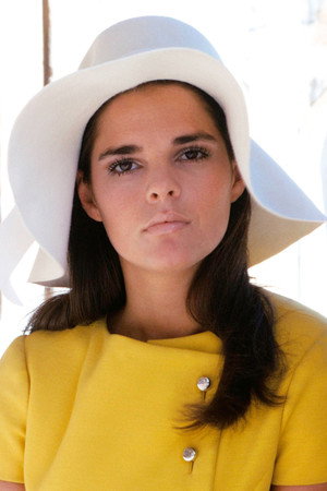 Ali MacGraw portrait