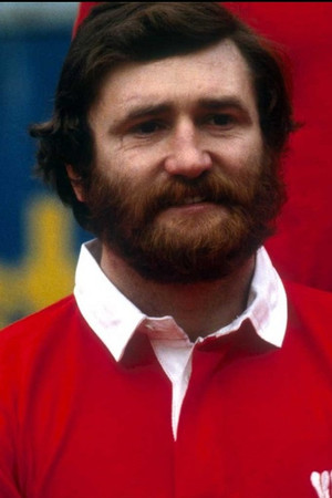 Ray Gravell portrait