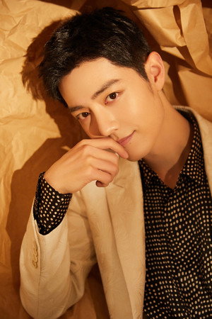 Xiao Zhan portrait