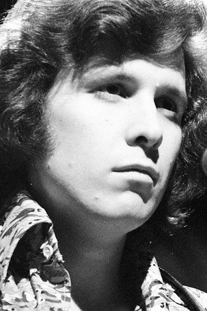 Don McLean portrait