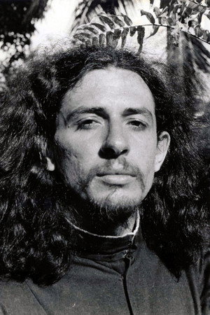 Torquato Neto portrait