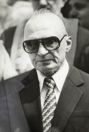 Dan Deșliu portrait