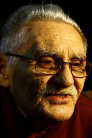 Linduarte Noronha portrait