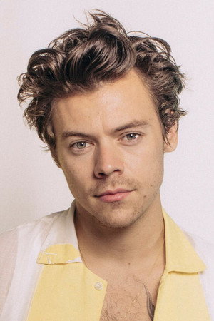 Harry Styles portrait