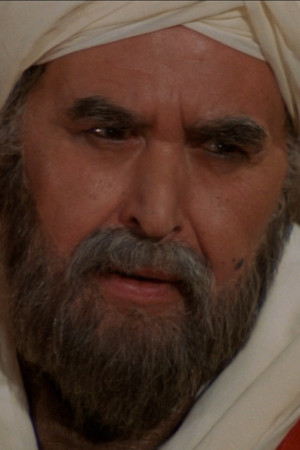 Abd Arabi portrait
