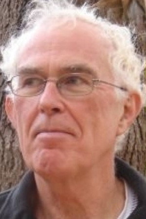Michael Barnsley portrait