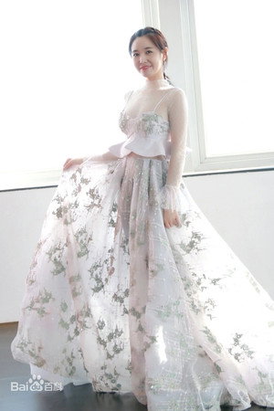 Wei Yunxi portrait