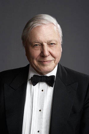 David Attenborough portrait