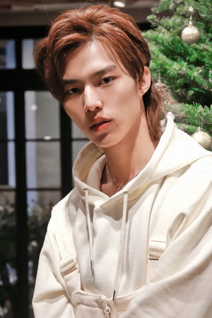 Lu Junjie portrait