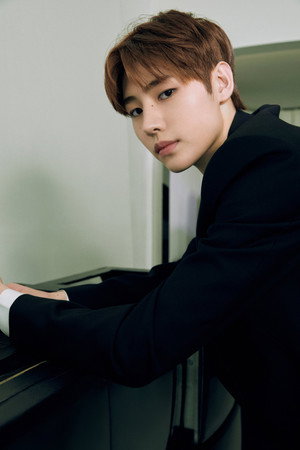 Sunghoon portrait