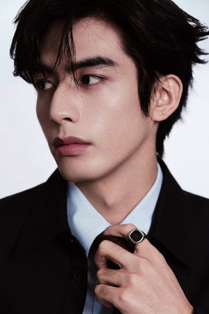 Song Weilong portrait