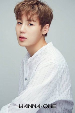 Ha Sung-woon portrait