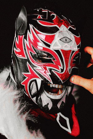 Puma King portrait