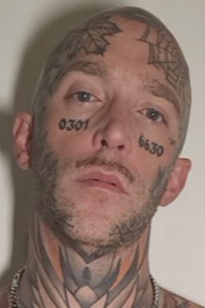 InkedBrln portrait