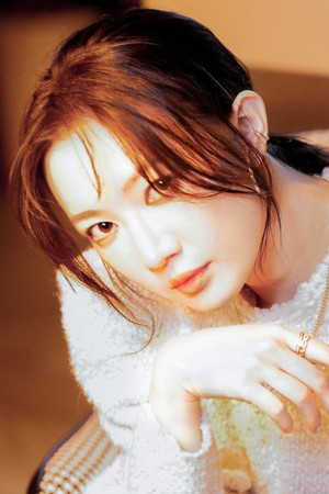 Li Xing portrait