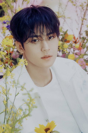 Mingyu portrait