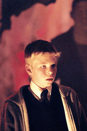 Tim McCallum portrait